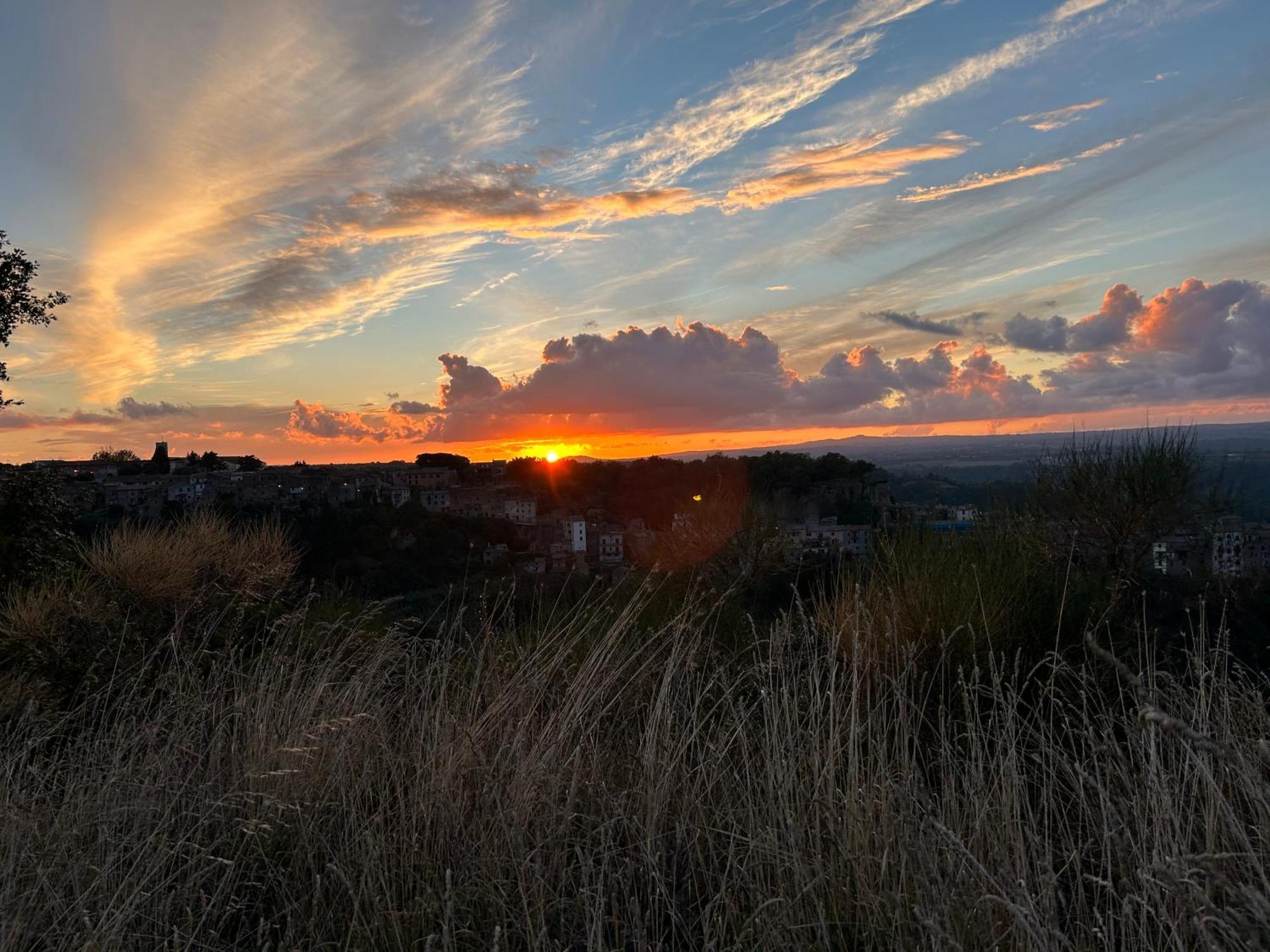 Agriturismo Le Querce Бомарцо Екстериор снимка