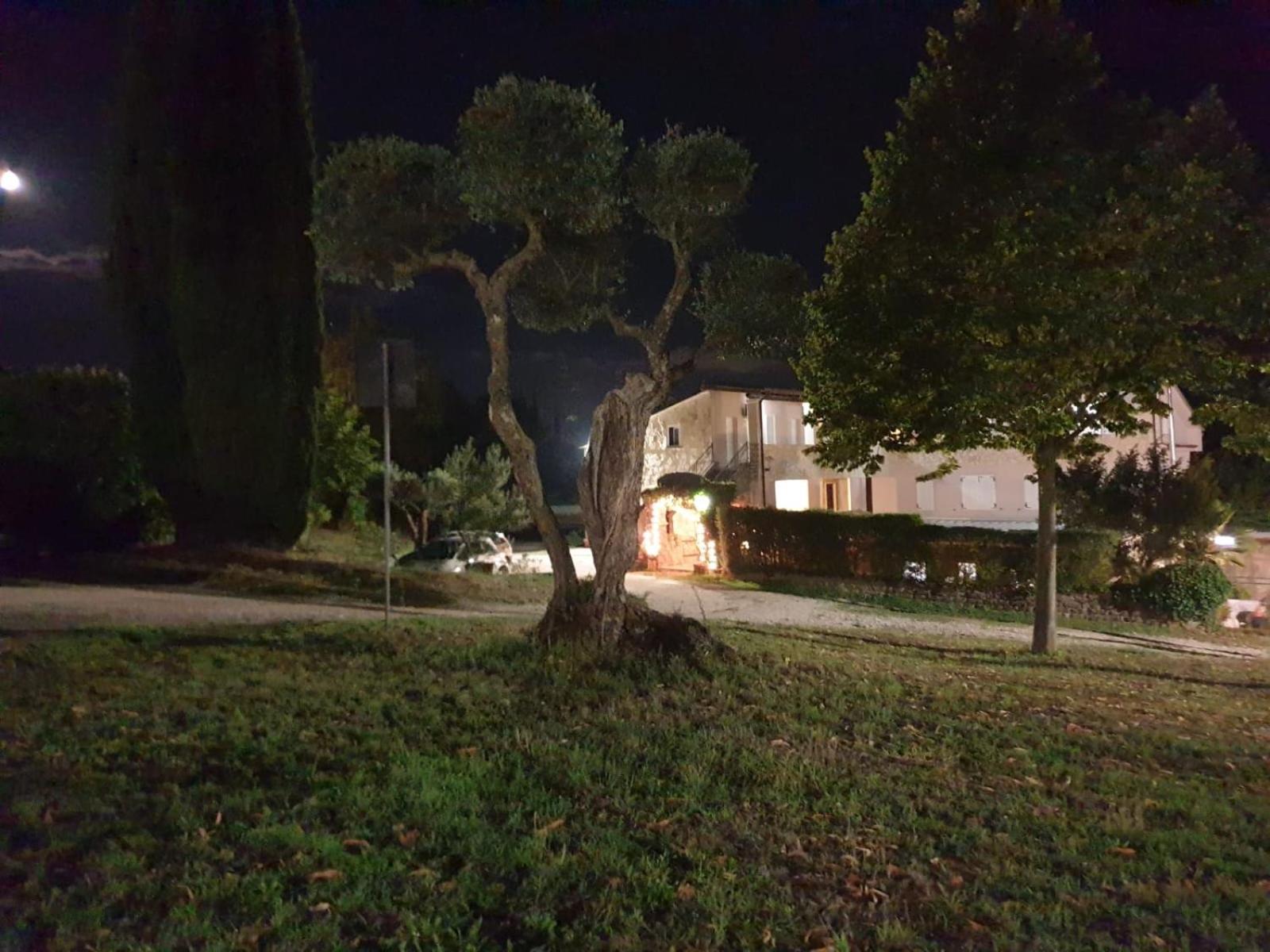 Agriturismo Le Querce Бомарцо Екстериор снимка
